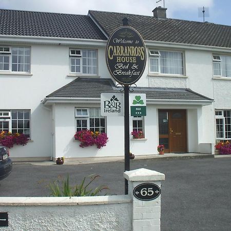 Carranross Accommodation Cill Airne Exteriör bild